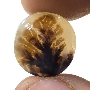 Erstaunlicher Design Achat !!! NATÜRLICHER Dendritischer Achat Oval Cabochon, loser Edelstein, Dendritischer Achat für die Herstellung von Schmuck Pendent.