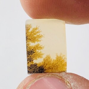 Wunderschöner Designer Dendriten Achat !!! NATÜRLICHER Dendritenachat Cabochon, loser Edelstein, 8x11 MM Dendritenachat für die Herstellung von Schmuck Pendent.