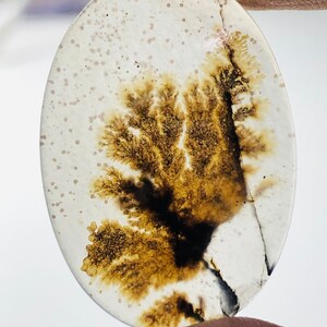 Wunderschöner Designer Dendriten Achat !!! NATÜRLICHER Dendritischer Achat Cabochon, loser Edelstein, 30 x 21 mm Dendritischer Achat zur Herstellung von Schmuckanhängern.