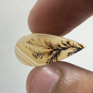 Riesige Größe !!! Dendritenachat Cabochon, lose Edelstein, dendritischen Achat für die Herstellung von Schmuck Pendent Größe 20x10 MM