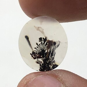 Erstaunlicher Design Achat !!! NATÜRLICHER Dendritischer Achat Oval Cabochon, loser Edelstein, Dendritischer Achat für die Herstellung von Schmuck Pendent.