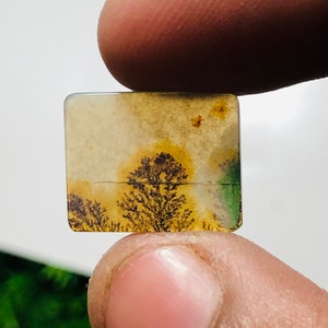 Wunderschöner Designer Dendriten Achat !!!  NATÜRLICHER Dendritischer Achat Cabochon, loser Edelstein, 12 x 15 mm Dendritischer Achat zur Herstellung von Schmuckanhängern.