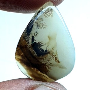 Designer Achat !!! Dendritenachat Birne Cabochon, lose Edelstein, dendritischen Achat für die Herstellung von Schmuck Pendent