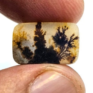 Riesige Größe !!! Dendritische Achat Oval Cabochon, lose Edelstein, dendritische Achat für die Herstellung von Schmuck Pendent Größe 12 x 10 MM