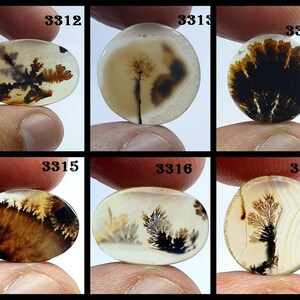 Natürlicher Dendritenachat, Dendritischer Cabochon, Achat-Lose Edelstein, Malerischer Dendritischer Achat, Heilende Eigenschaften, Farbe, Kraftstein