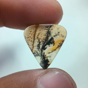 Designerstein !!! Dendritenachat-fantastischer Cabochon, loser Edelstein, dendritischer Achat für die Herstellung von Schmuck Penent Größe 17 x 17 MM