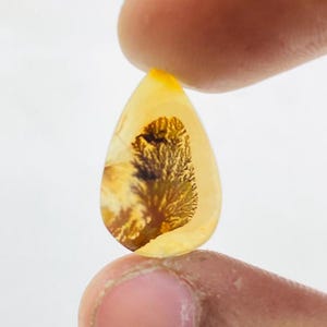 Riesige Größe !!! Dendritenachat Birne Cabochon, Lose Edelstein, Dendritenachat für die Herstellung von Schmuck Pendent Größe 18 x 12 MM