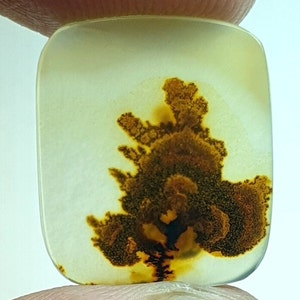 Dendrit Cabochon, Malerische Dendriten Achat Cabochon, Shazar Dendrit Edelstein, Shazar Achat Shazar Achat Cabochon