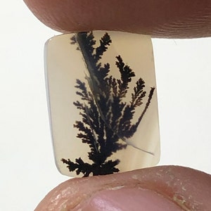 Erstaunlicher Design Achat !!! NATÜRLICHER Dendritischer Achat Oval Cabochon, loser Edelstein, Dendritischer Achat für die Herstellung von Schmuck Pendent.