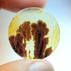 Traumhaft !!! Dendritische Achat Cabochon, Dendritische Lose Edelstein, Dendritische Achat, Achat Für die Herstellung von Schmuck Pendent Größe 27x27 MM