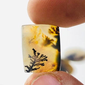 Wunderschöner Designer Dendriten Achat !!! NATÜRLICHER Dendritenachat Cabochon, loser Edelstein, 12X15 MM Dendritenachat für die Herstellung von Schmuck Pendent.