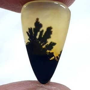 Wunderschöner Designer Dendriten Achat !!! NATÜRLICHER Dendritenachat Cabochon, loser Edelstein, 16 x 10 mm Dendritenachat für die Herstellung von Schmuck Pendent.
