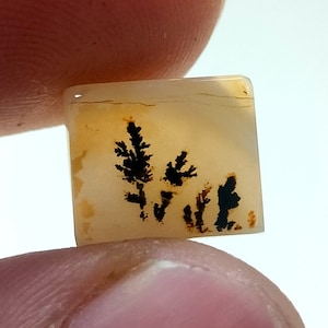 100% Natürlich Landschaftlich Achat !!! Baumachat, Dendritenquarz, Dendritenachat, Malerischer Achat-Edelstein, Dendritenachatstein, Größe 11 x 10 MM