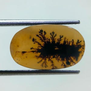 Piedra de diseño. Cabujón de ágata dendrítica de fantasía, piedra preciosa suelta, ágata dendrítica para hacer colgantes de joyería. Tamaño: 17 x 10 mm.