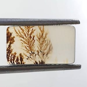 Wunderschöner Designer Dendriten Achat !!!  NATÜRLICHER Dendritischer Achat Cabochon, loser Edelstein, 8 x 12 mm Dendritischer Achat zur Herstellung von Schmuckanhängern.