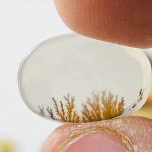 Wunderschöner Designer Dendriten Achat !!! NATÜRLICHER Dendritenachat Cabochon, loser Edelstein, 9X14 mm Dendritenachat für die Herstellung von Schmuck Pendent.