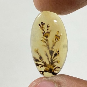 Riesige Größe !!! Dendritenachat Cabochon, lose Edelstein, dendritischen Achat für die Herstellung von Schmuck Pendent Größe 21x12 MM