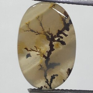 Erstaunlicher Design Achat !!! NATÜRLICHER Dendritischer Achat Oval Cabochon, loser Edelstein, Dendritischer Achat für die Herstellung von Schmuck Pendent.
