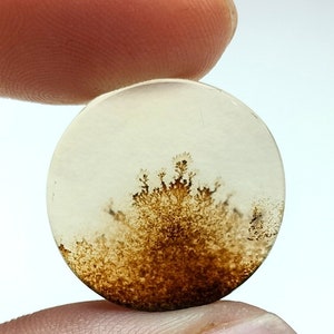 100% Natürlich Landschaftlich Achat !!! Baumachat, Dendritenquarz, Dendritenachat, Malerischer Achat-Edelstein, Dendritenachatstein, Größe 21x20 MM
