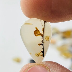 Wunderschöner Designer Dendriten Achat !!! NATÜRLICHER Dendritischer Achat Cabochon, loser Edelstein, 10X16 MM Dendritischer Achat für die Herstellung von Schmuck Pendent.