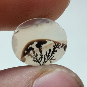 100% Natürlich Landschaftlich Achat !!! Baumachat, Dendritenquarz, Dendritenachat, Malerischer Achat-Edelstein, Dendritenachatstein, Größe 15 x 12 MM