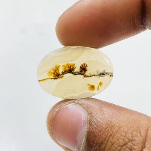 Riesige Größe !!! Dendritenachat-Birne Cabochon, lose Edelstein, dendritische Achat für die Herstellung von Schmuck Pendent Größe 15 x 21 MM