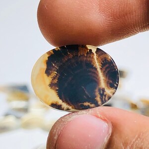 Natürlicher Achat !!! Dendritenachat Birne Cabochon, Lose Edelstein, Dendritenachat 13x16 Größe für die Herstellung von Schmuck Pendent