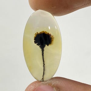 Riesige Größe !!! Dendritenachat Cabochon, lose Edelstein, dendritische Achat für die Herstellung von Schmuck Pendent Größe 23X13 MM
