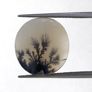 Natürlicher Achat !!! Dendritenachat Cabochon, lose Edelstein, dendritischen Achat für die Herstellung von Schmuck Pendent