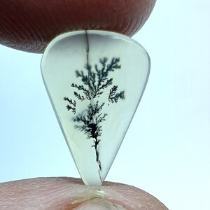 Natürlicher Achat !!! Dendritenachat Birne Cabochon, lose Edelstein, dendritischen Achat für die Herstellung von Schmuck Pendent