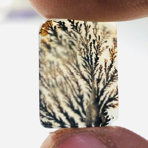 Wunderschöner Designer Dendriten Achat !!! NATÜRLICHER Dendritenachat Cabochon, loser Edelstein, 11 x 15 mm Dendritenachat für die Herstellung von Schmuck Pendent.