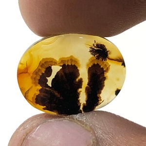 Erstaunlicher Design Achat !!! NATÜRLICHER Dendritischer Achat Oval Cabochon, loser Edelstein, Dendritischer Achat für die Herstellung von Schmuck Pendent.