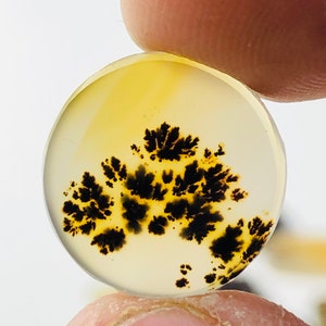 Wunderschöner Designer Dendriten Achat !!! NATÜRLICHER Dendritenachat Cabochon, loser Edelstein, 14X14 mm Dendritenachat für die Herstellung von Schmuckanhängern.