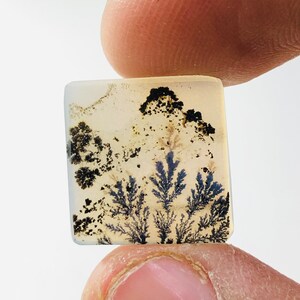 Wunderschöner Designer Dendriten Achat !!!  NATÜRLICHER Dendritischer Achat Cabochon, loser Edelstein, 14 x 14 mm Dendritischer Achat zur Herstellung von Schmuckanhängern.