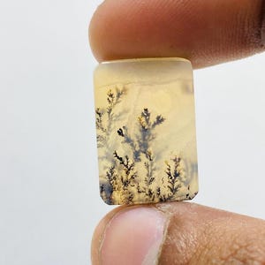 Riesige Größe !!! Dendritenachat Birne Cabochon, Lose Edelstein, Dendritenachat für die Herstellung von Schmuck Pendent Größe 21 x 15 MM