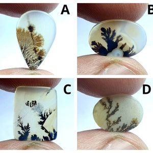 NATURAL Dendritic Achat Cabochon, Größe 20x12 T bis 10x12 ca. Lockerer Edelstein, Dendritischer Achat zur Schmuckherstellung In der Größe Pendent.