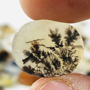Wunderschöner Designer Dendriten Achat !!! NATÜRLICHER Dendritenachat Cabochon, loser Edelstein, 13X16 MM Dendritenachat für die Herstellung von Schmuck Pendent.