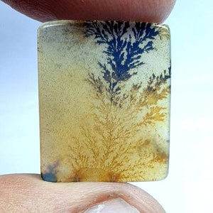 Riesige Größe !!! Dendritenachat Cabochon, Lose Edelstein, Dendritenachat Für die Herstellung von Schmuck Pendent Größe 20x17 MM