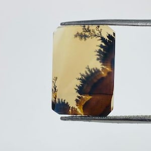 Riesige Größe !!! Dendritenachat Cabochon, Lose Edelstein, Dendritenachat für die Herstellung von Schmuck Pendent Größe 17 x 12 MM