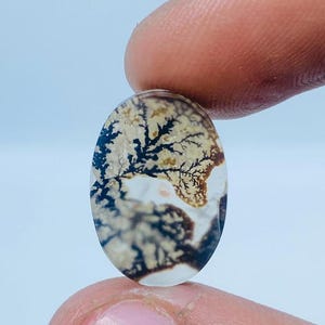 Erstaunlicher Design Achat !!! NATÜRLICHER Dendritischer Achat Oval Cabochon, loser Edelstein, Dendritischer Achat für die Herstellung von Schmuck Pendent.