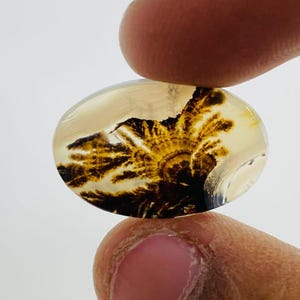 Riesige Größe !!! Dendritenachat Cabochon, Lose Edelstein, Dendritenachat für die Herstellung von Schmuck Pendent Größe 15 x 21 MM