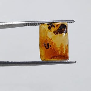 Piedra de diseño. Cabujón de ágata dendrítica de fantasía, piedra preciosa suelta, ágata dendrítica para hacer colgantes de joyería. Tamaño: 15 x 11 mm.