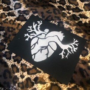Anatomische Hartpatch