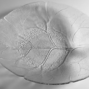 Arcoroc Aspen Leaf Shape Bowl 15 inch, Leaf Bowl, Arcoroc, Leaf Pattern, Aspen Pattern, Unusual Leaf Shape, Centerpiece, Discontinued