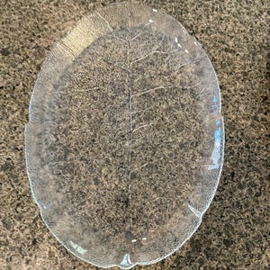 Vintage Arcoroc Aspen 13 Inch Glass Platter Clear Pressed Leaf Design France