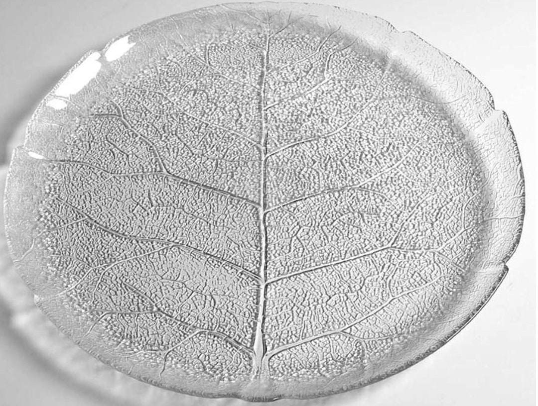 E54134 - Arcoroc - Assiette Plate Rond Vert Verre Opal 19,5 Cm Brush Arcoroc