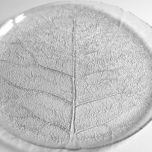 Arcoroc Aspen Plate, Arcoroc Aspen Dessert Salad Plate, Arcoroc 7 1/2 inch Plate, Arcoroc Glass Plate, Leaf Pattern Plate, Set of 4