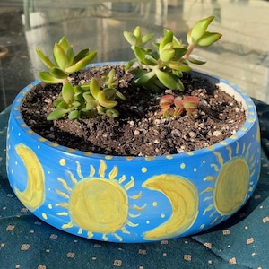 Puede incluir: Una maceta de cerámica azul con un diseño de sol y luna pintado en amarillo. La maceta está llena de tierra y tiene una variedad de suculentas verdes creciendo en ella.
