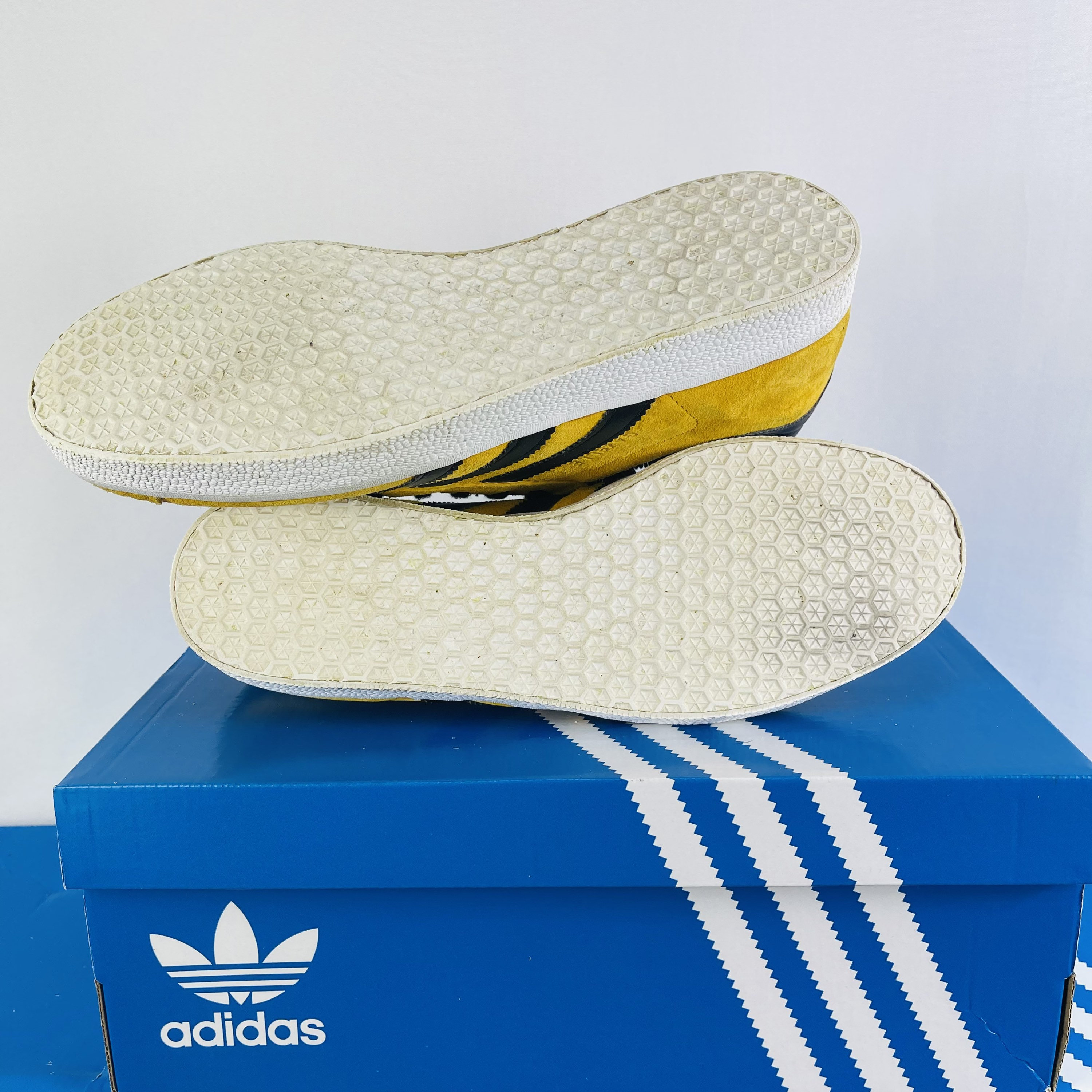 gazelle yellow black