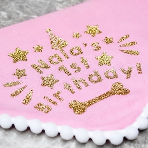 May include: Pink fabric dog collar with a gold glitter design that says "Nala's 1st Birthday!" with stars and a bone.